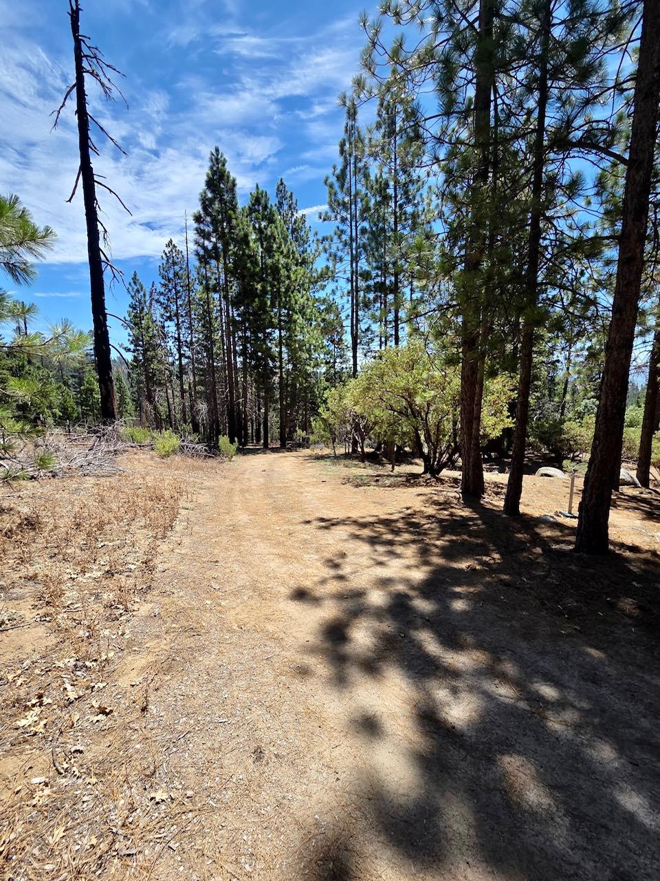 167 Pine Cone Path