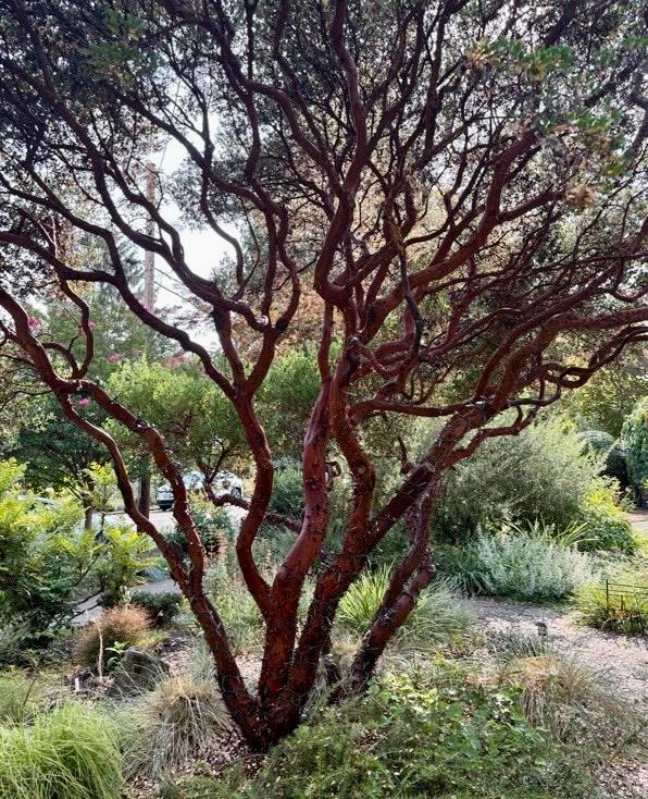 167 Pine Cone Path