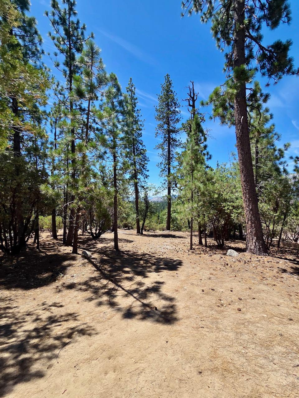 167 Pine Cone Path