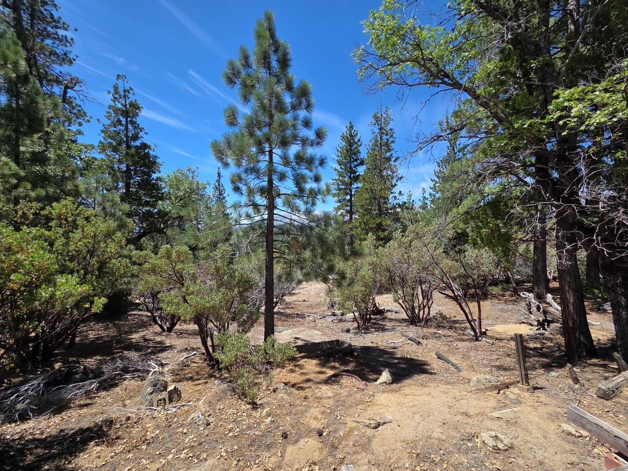 167 Pine Cone Path