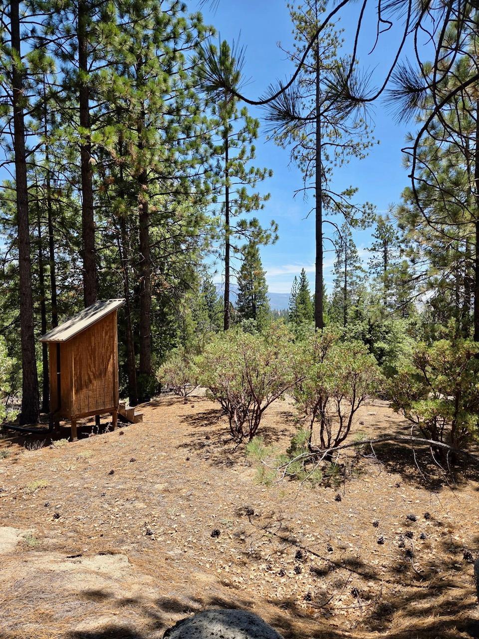 167 Pine Cone Path