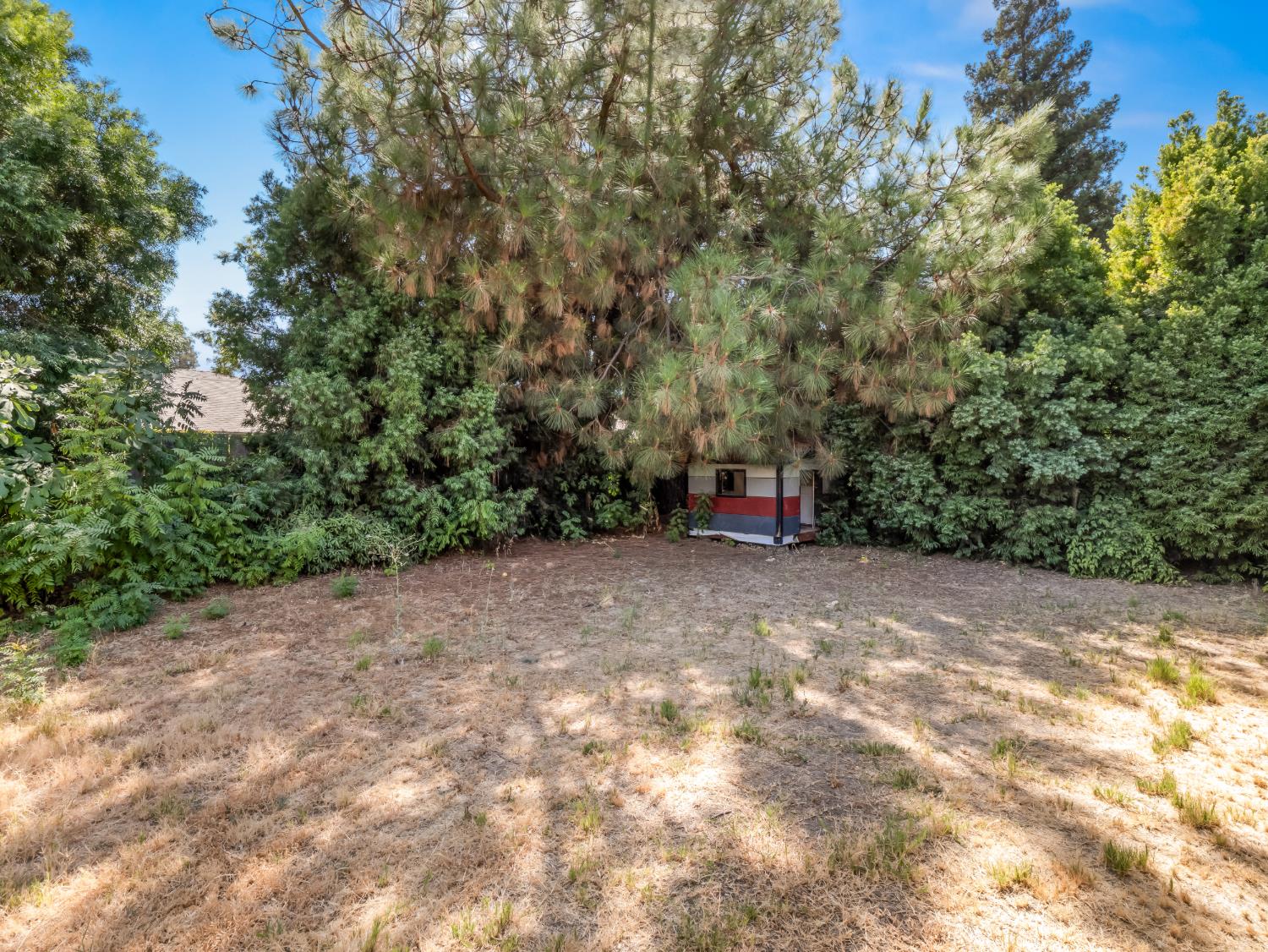 1563 E Fallbrook Avenue
