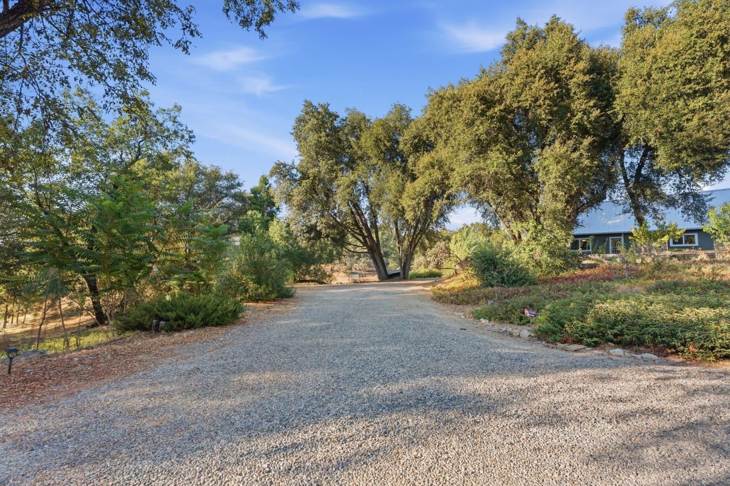 51145 Road 423