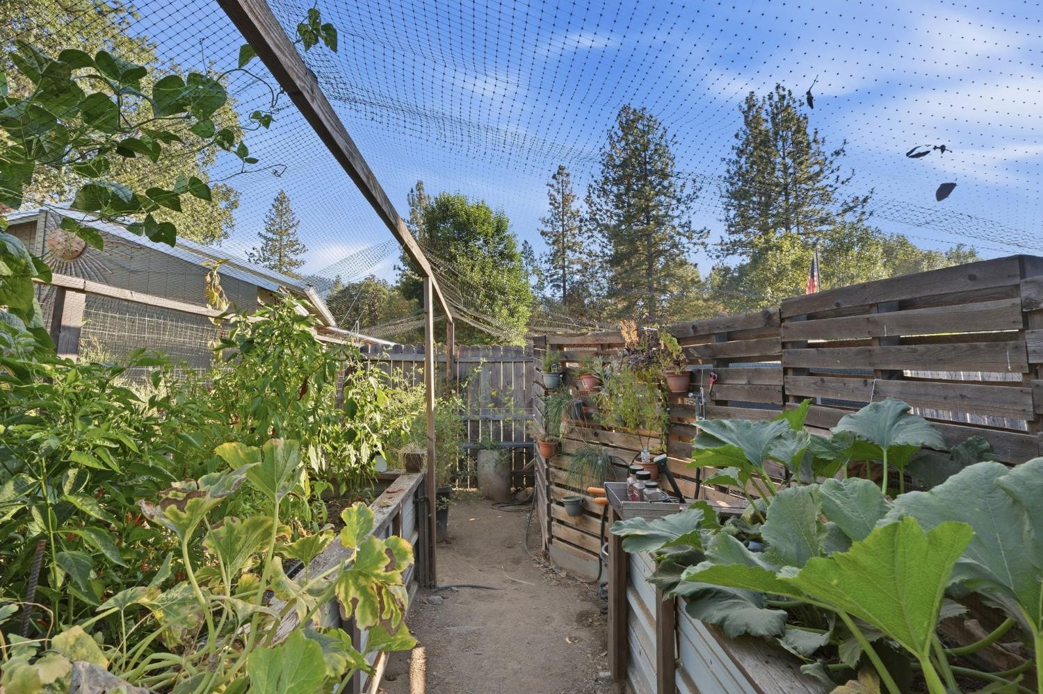 51145 Road 423