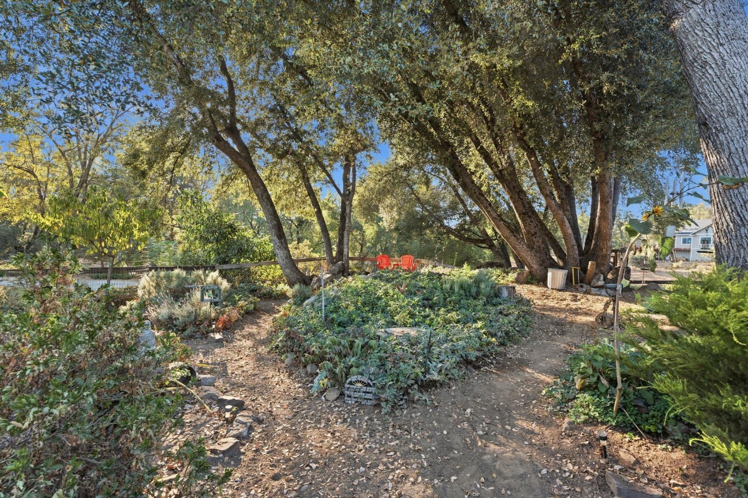 51145 Road 423