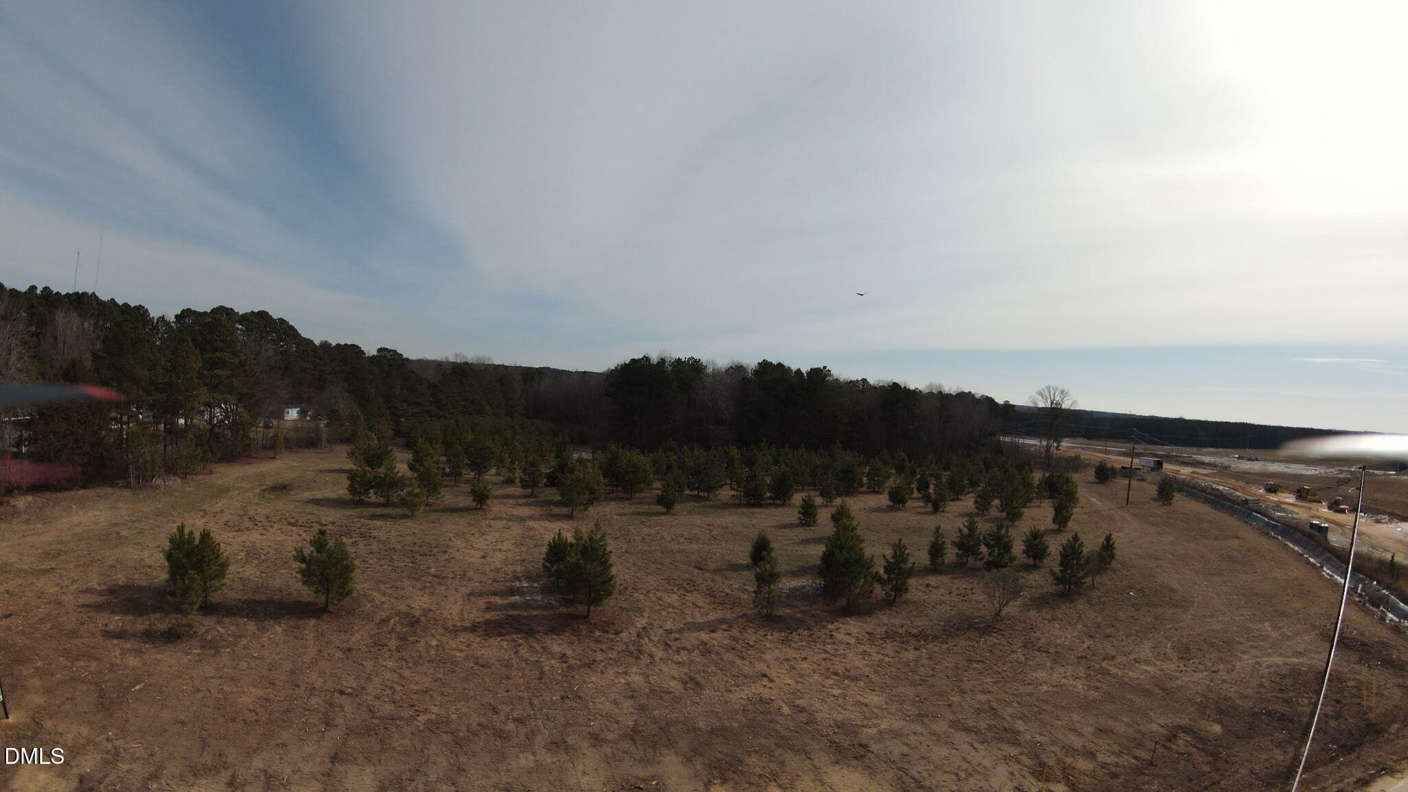 Aerial view of cleared rural land with scattered evergreens and woods along the edge.