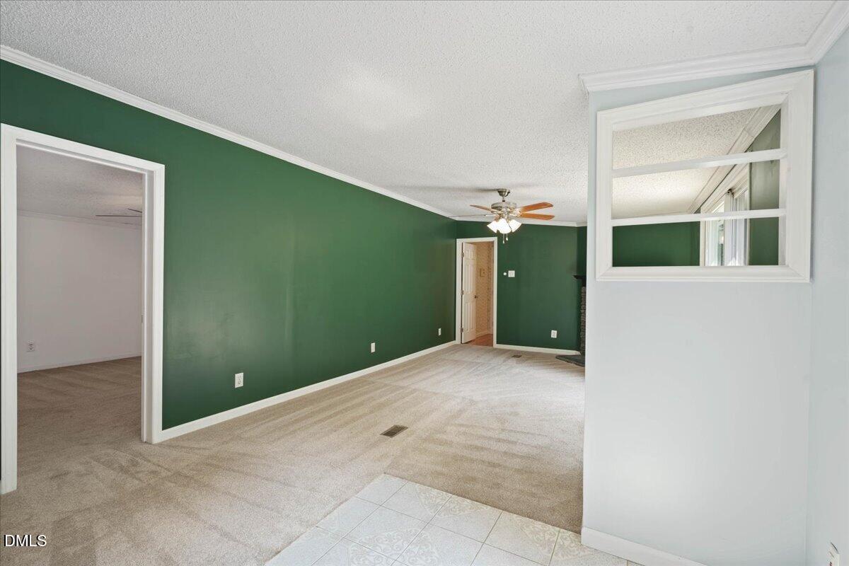 Carpeted living room with a dark green accent wall and ceiling fan.