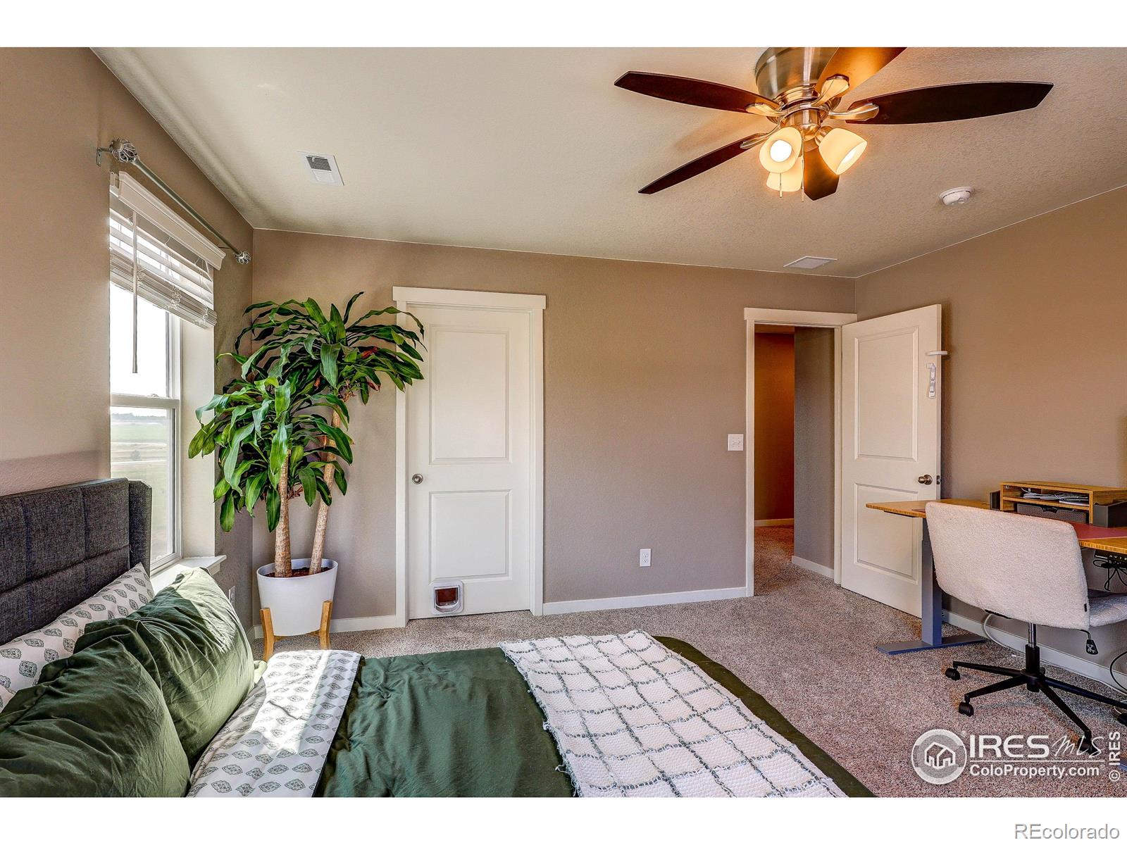 1335 Copeland Falls Road