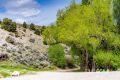 1090 W Cherry Creek Road