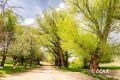 1090 W Cherry Creek Road