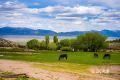1090 W Cherry Creek Road