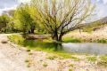 1090 W Cherry Creek Road