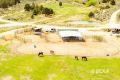 1090 W Cherry Creek Road