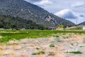 1090 W Cherry Creek Road