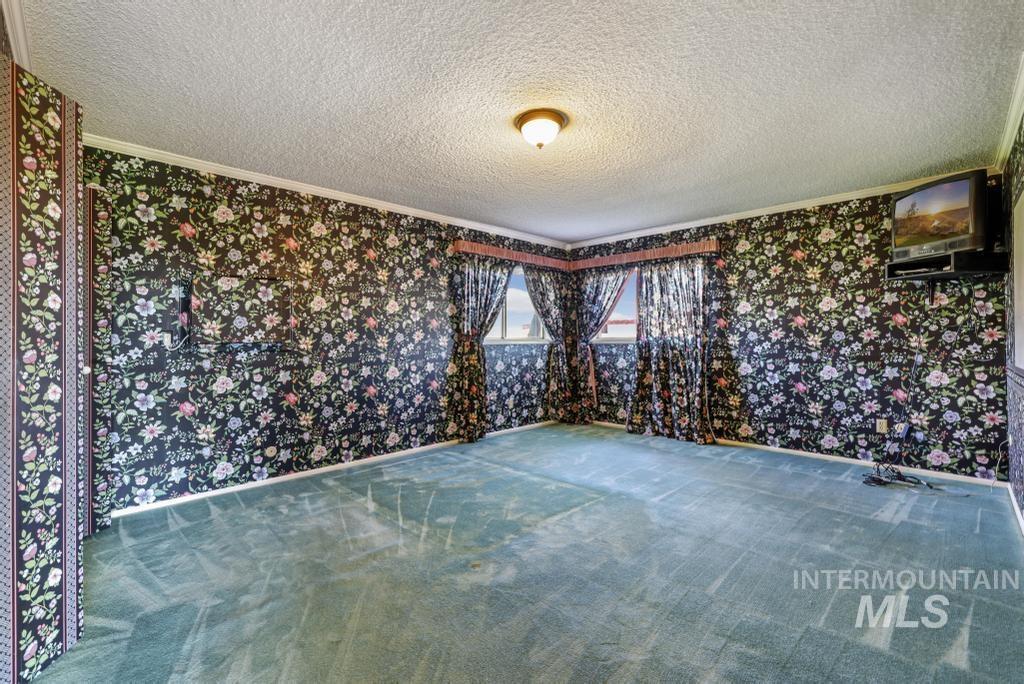 1664 Washington