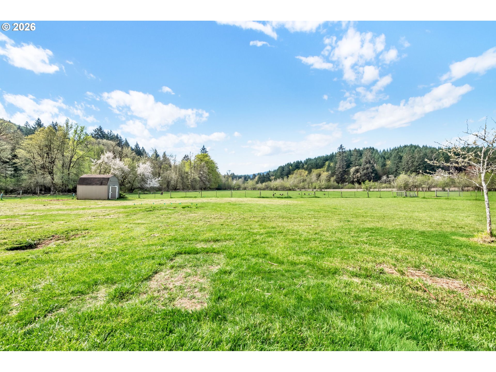 24022 ALPINE RD