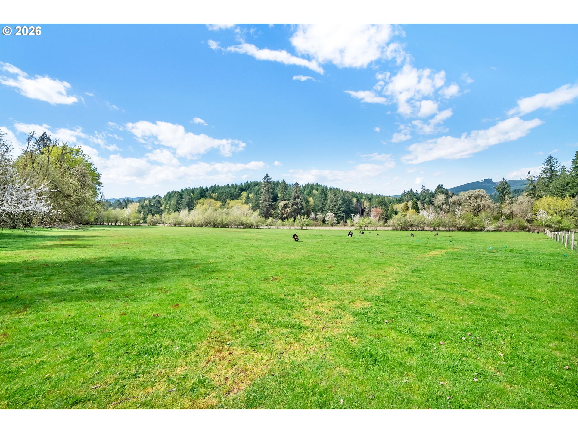 24022 ALPINE RD