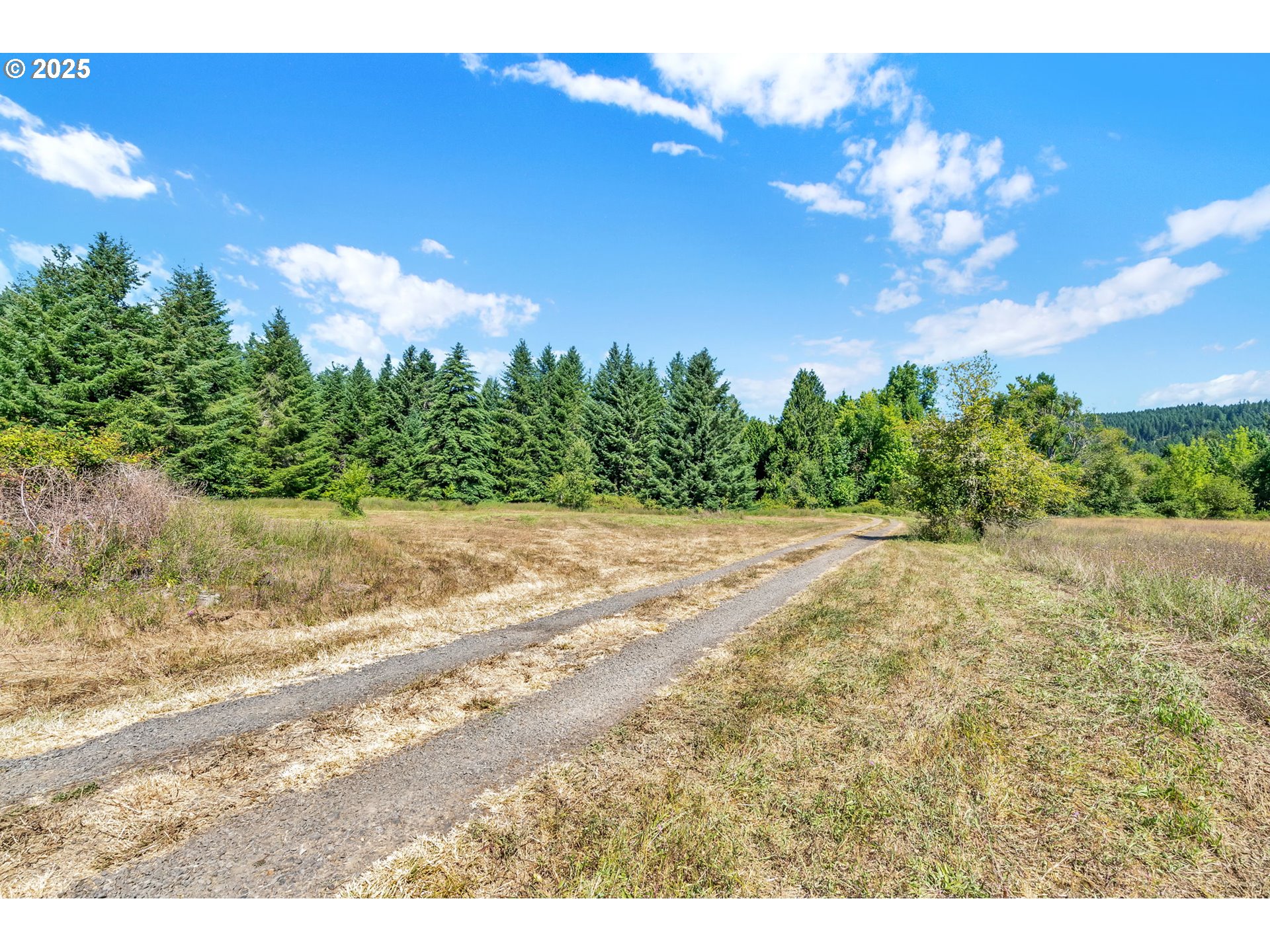 20317 HIGHWAY 36