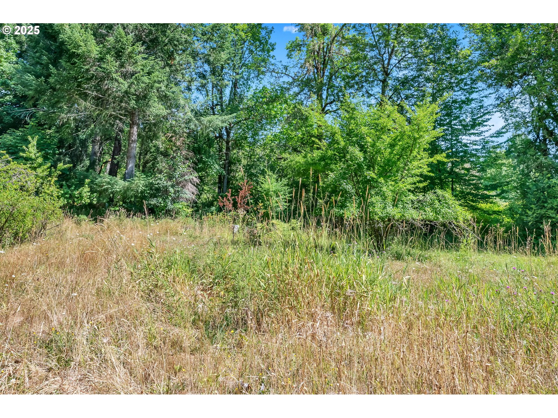 20317 HIGHWAY 36