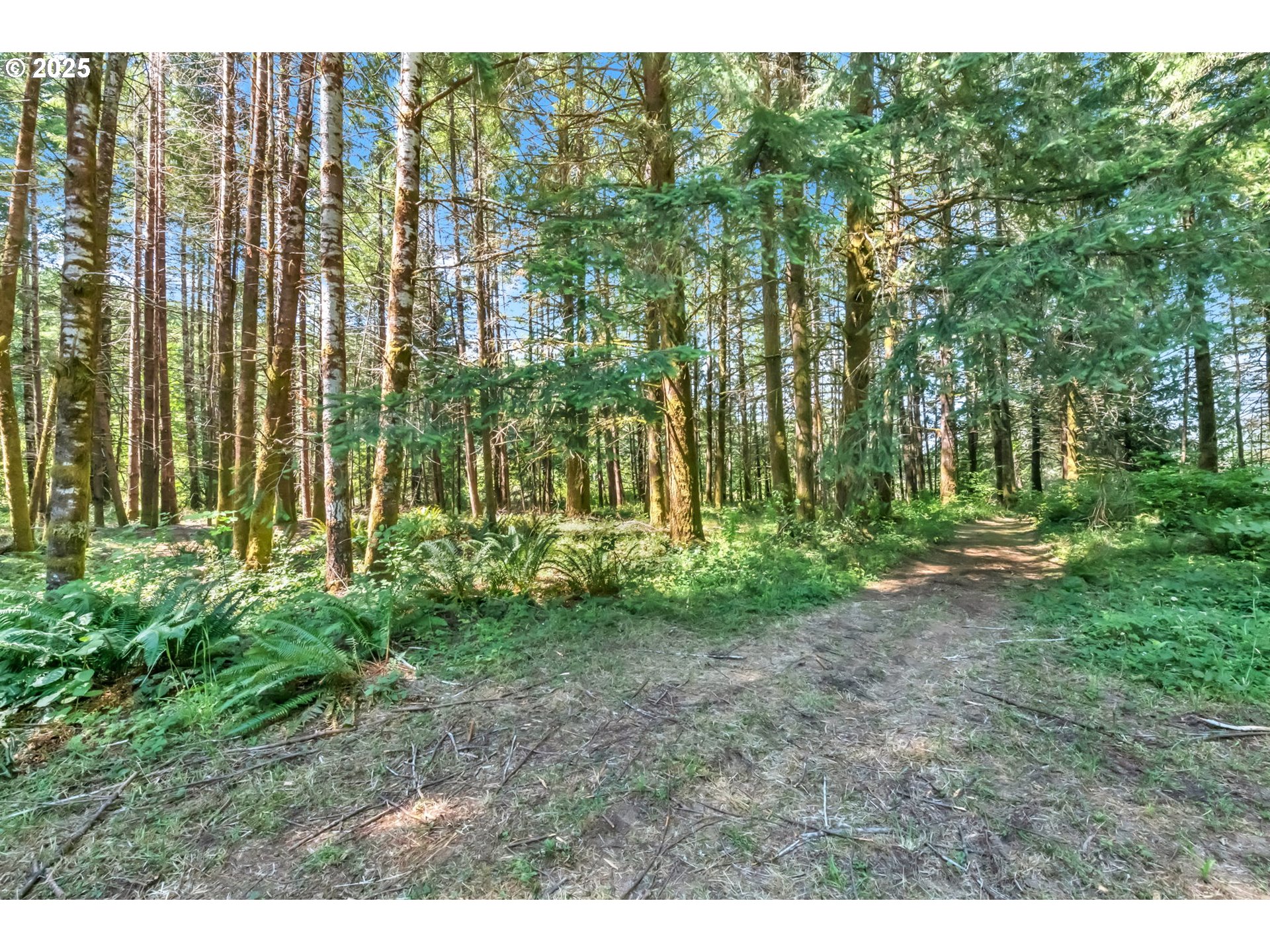 20317 HIGHWAY 36