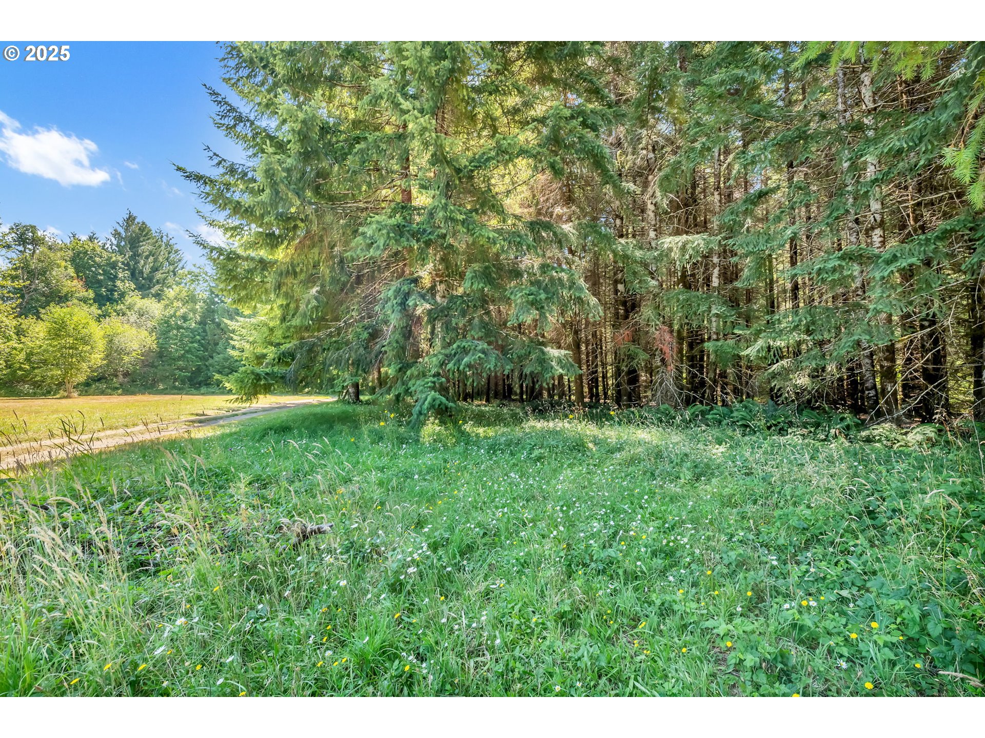 20317 HIGHWAY 36