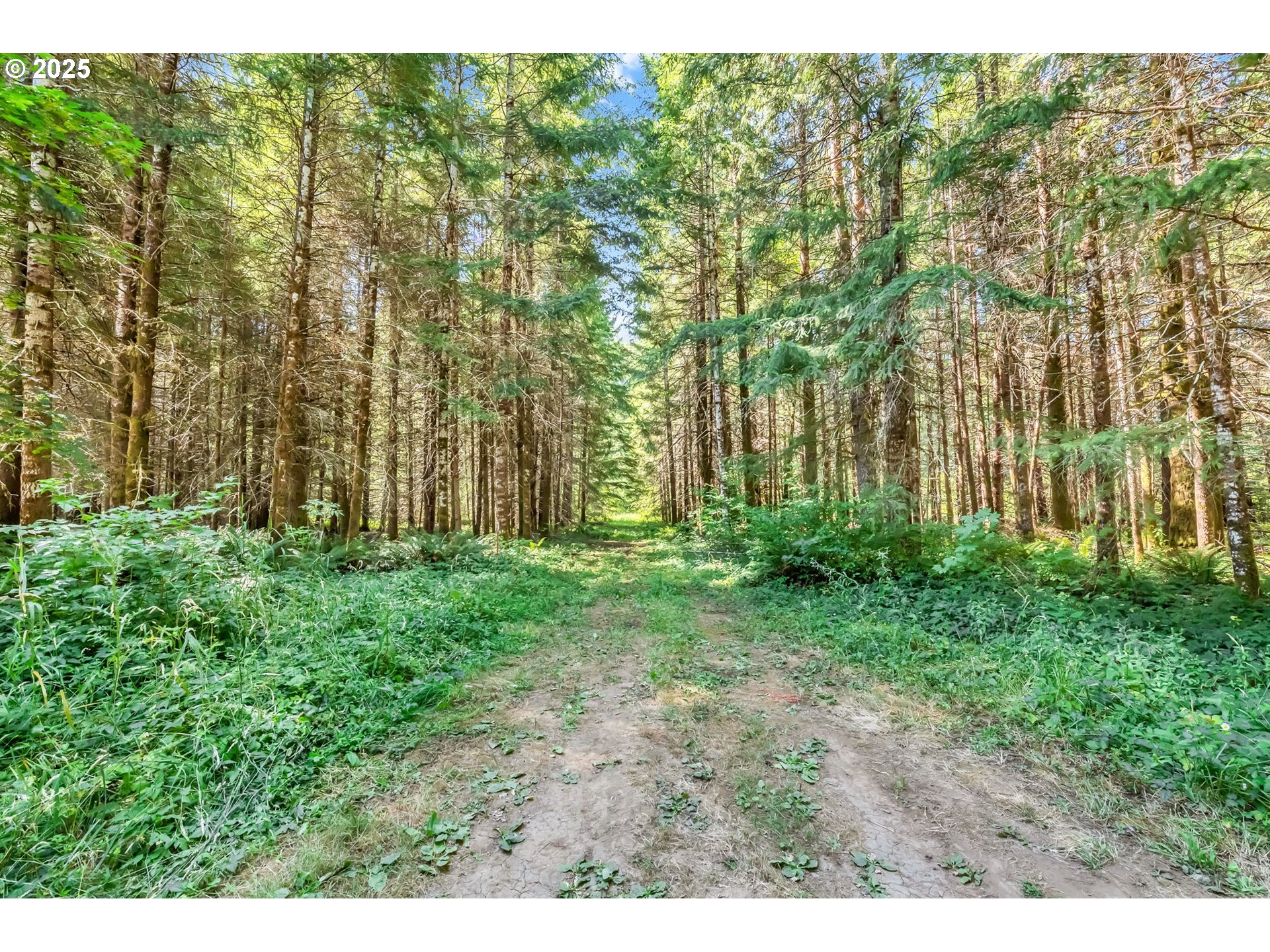 20317 HIGHWAY 36