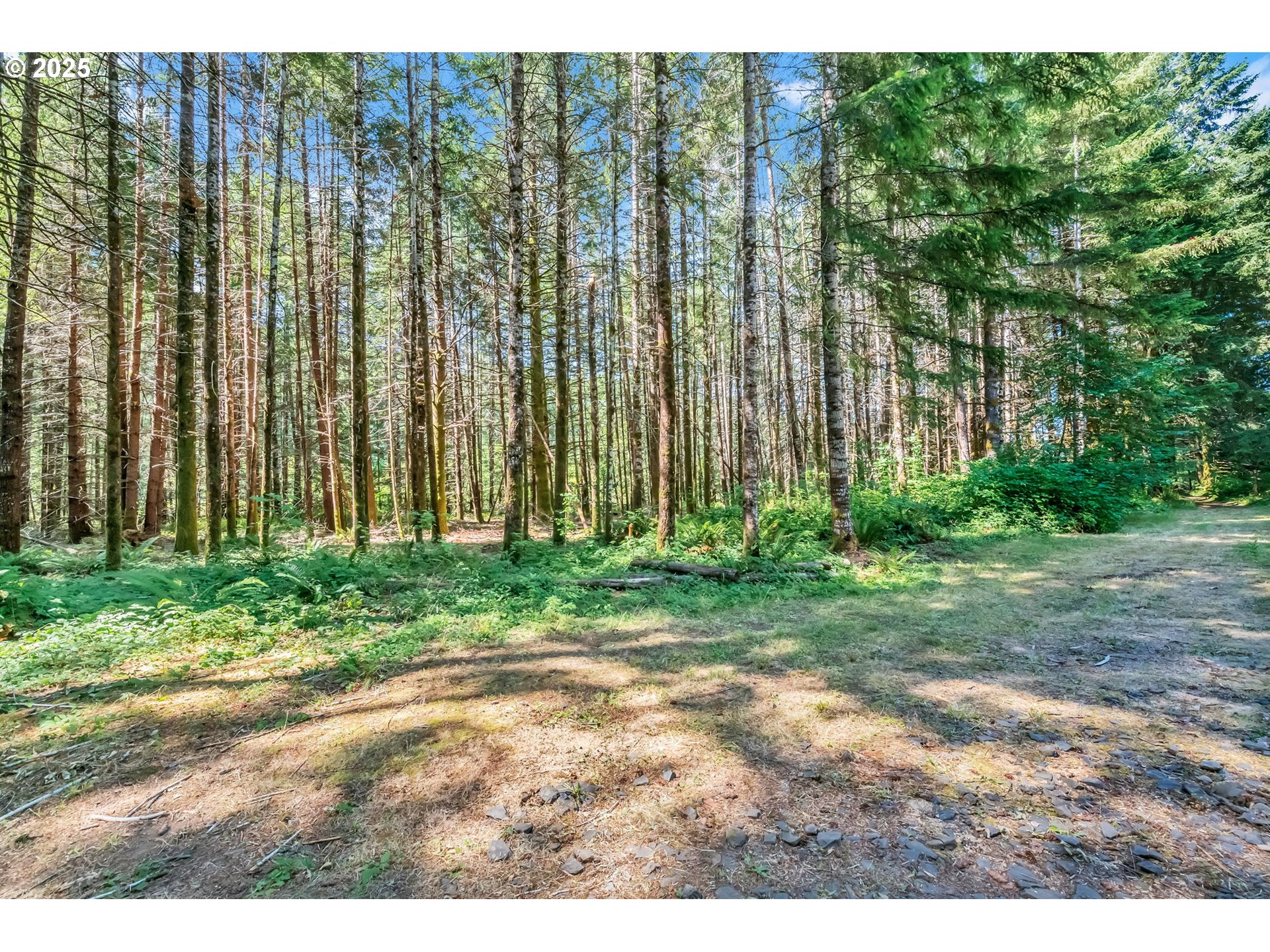 20317 HIGHWAY 36