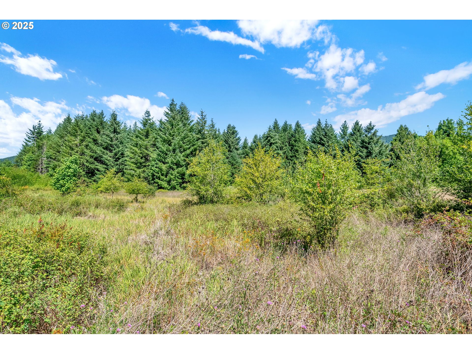 20317 HIGHWAY 36
