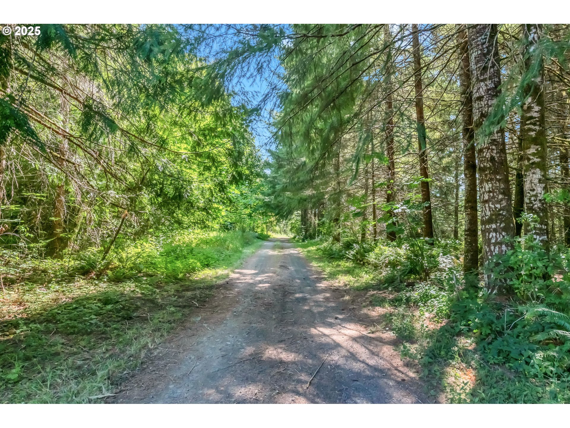 20317 HIGHWAY 36