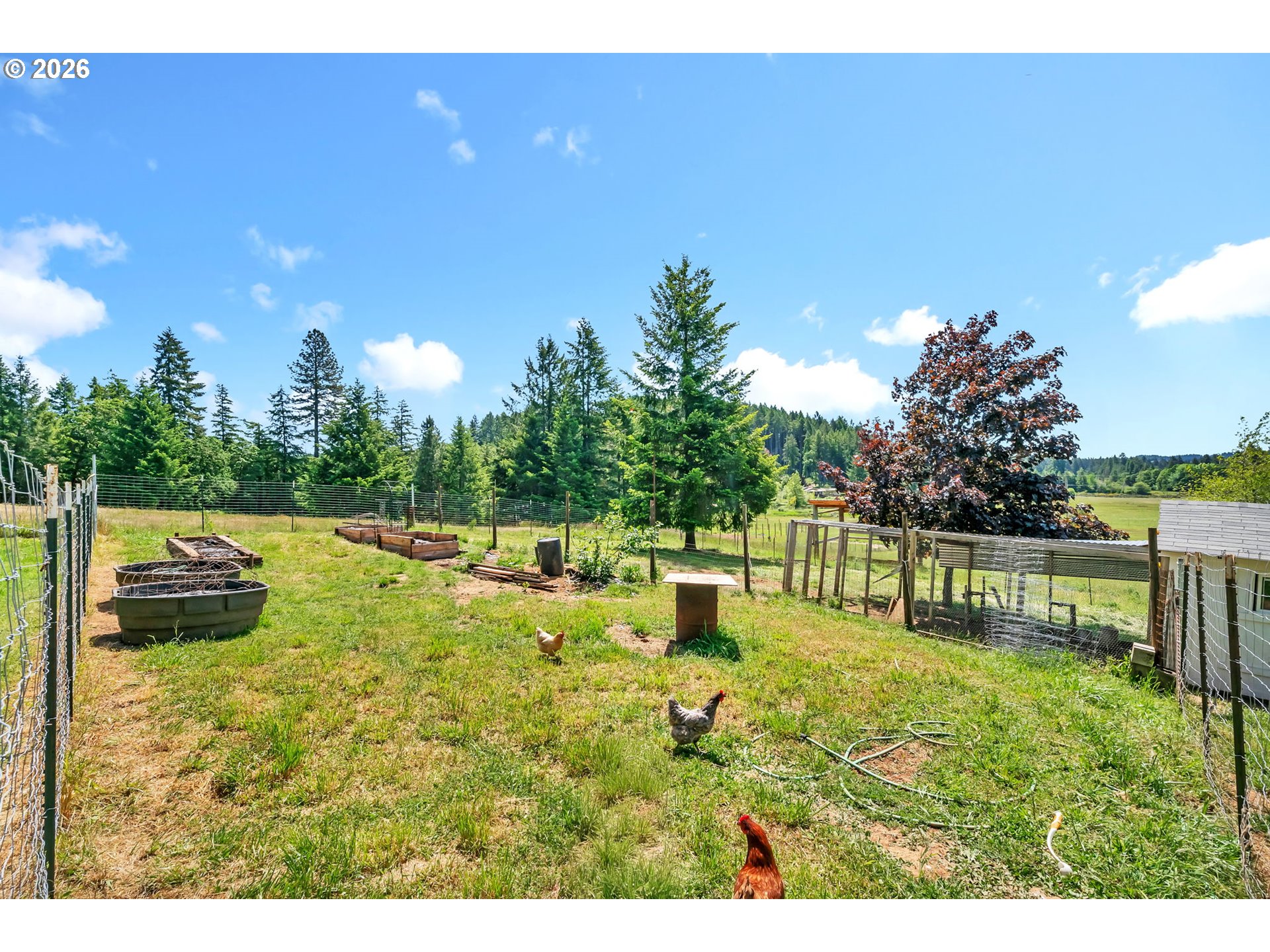 25014 HALL RD