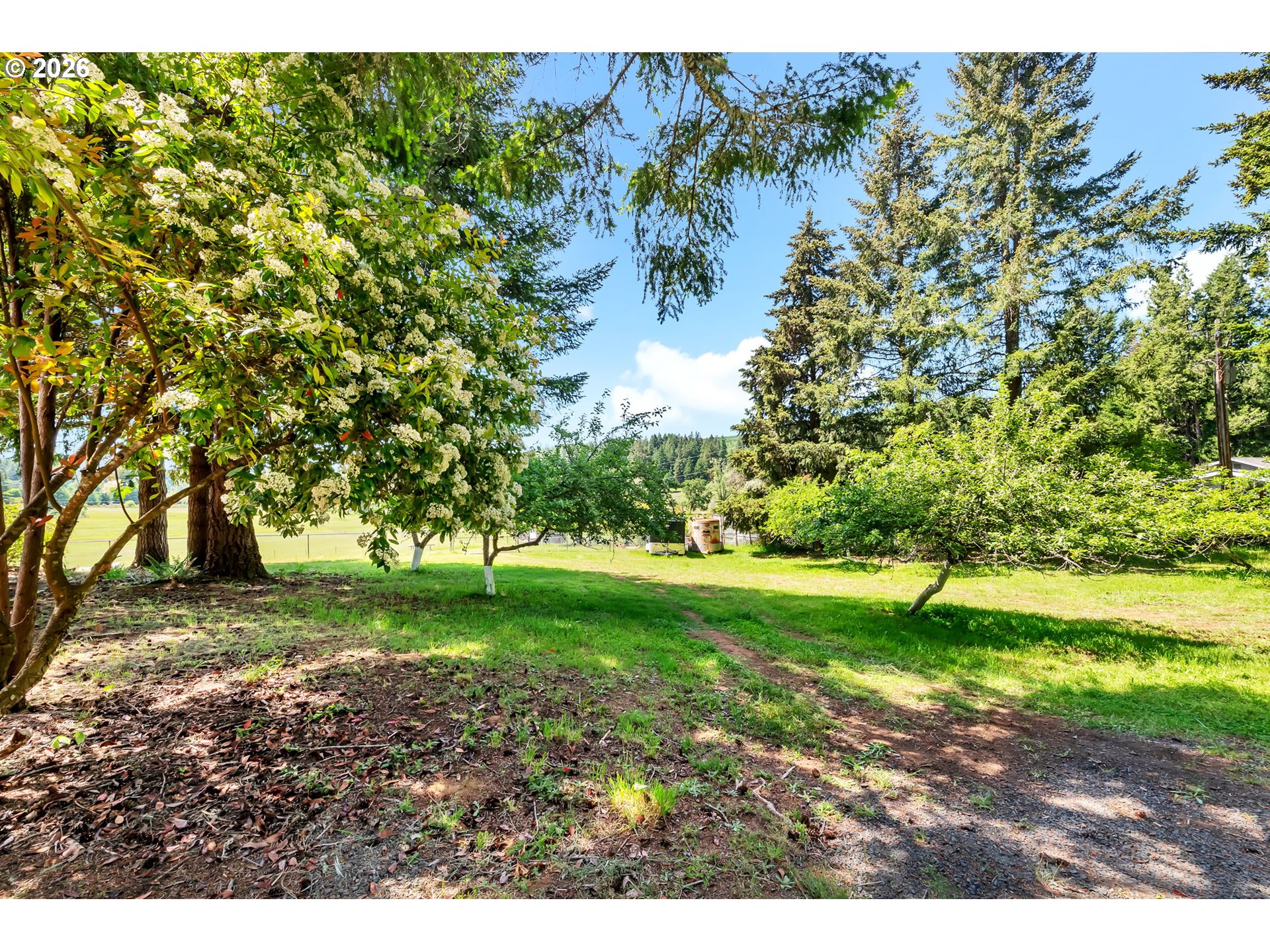25014 HALL RD