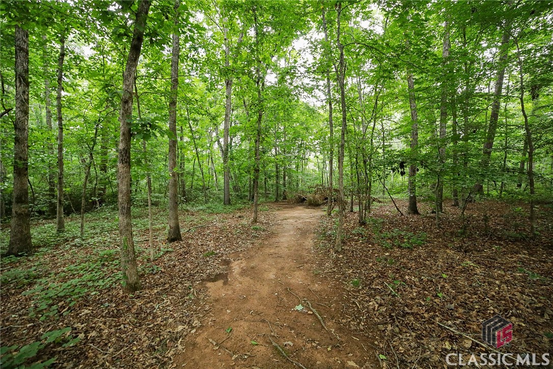 1160 Bent Creek Road