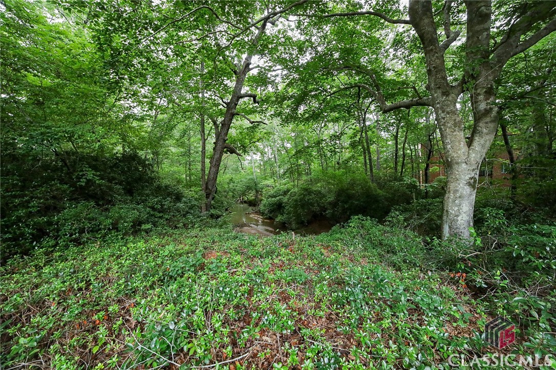 1160 Bent Creek Road