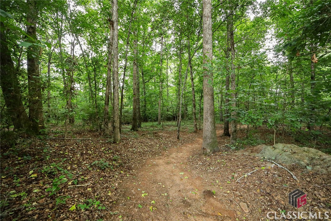 1160 Bent Creek Road