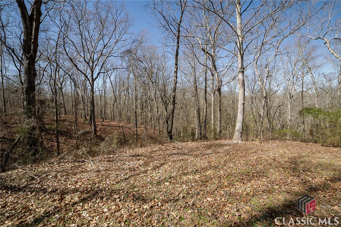 315 Cliff Griffith Road