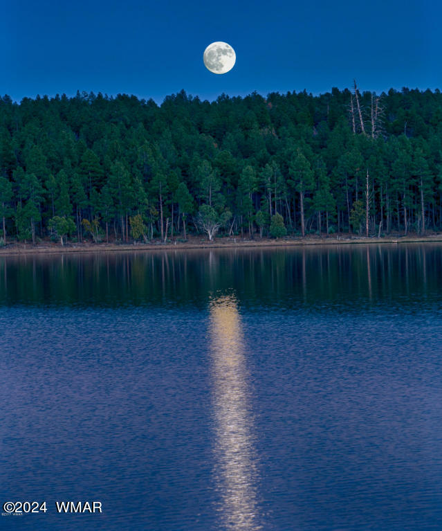 5424 St Andrews Drive