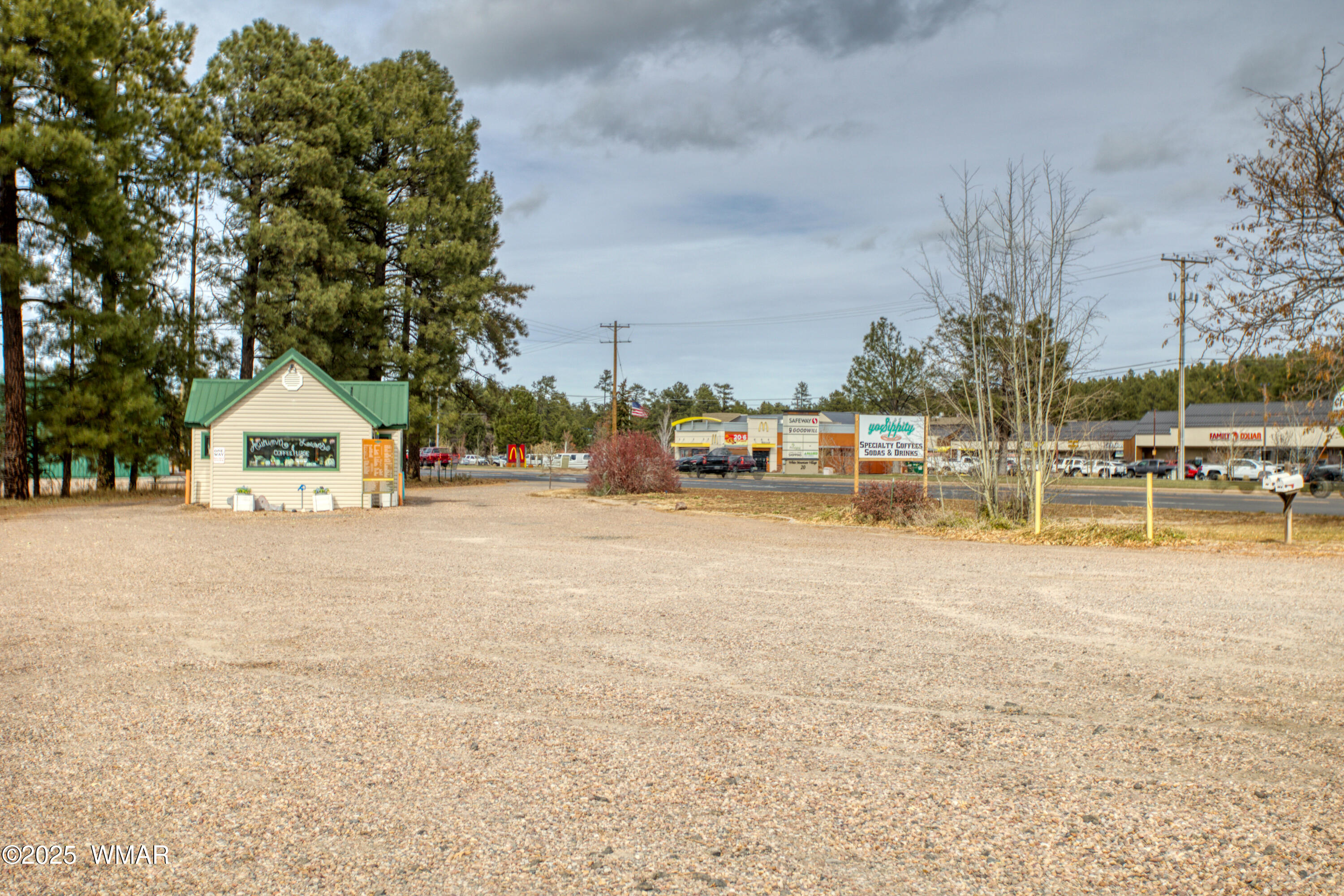 25 E White Mountain Boulevard