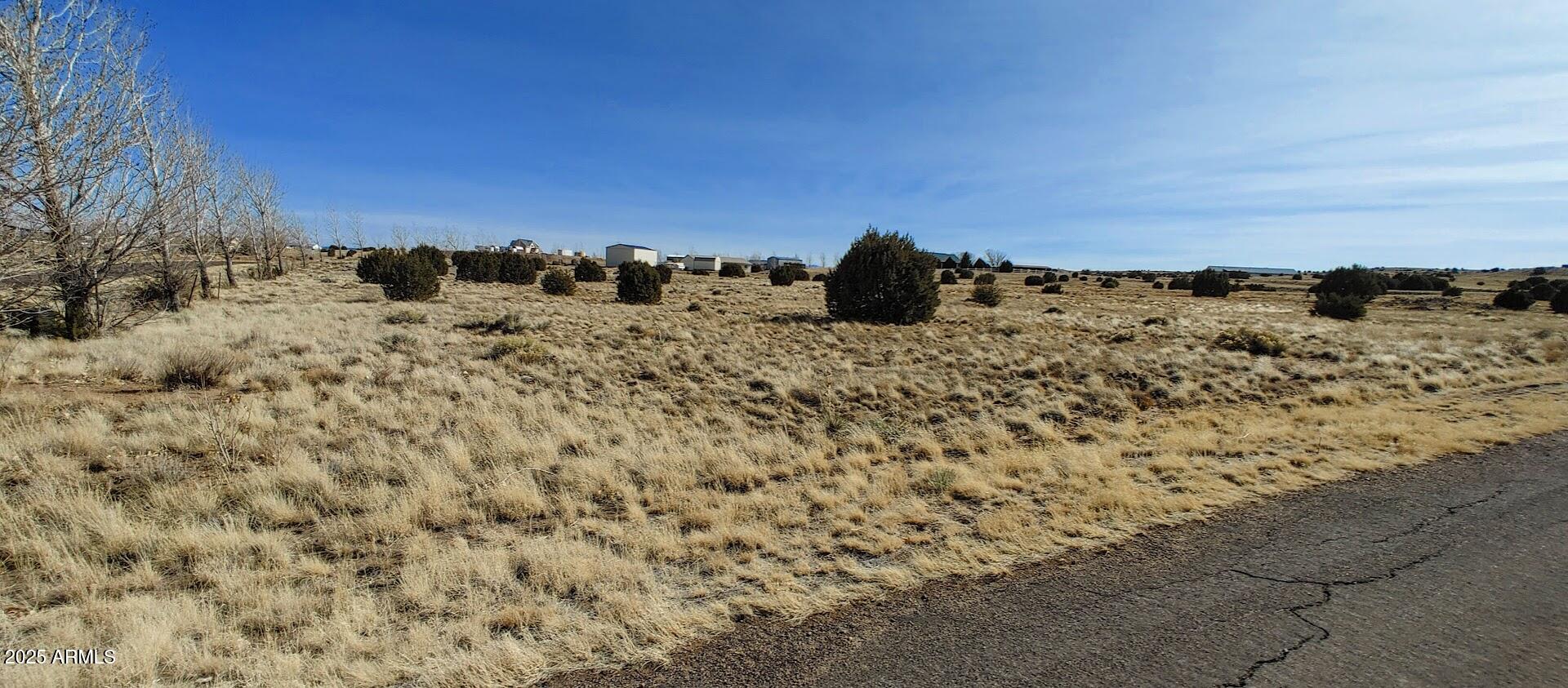 1351 S MEADOW Way, 81