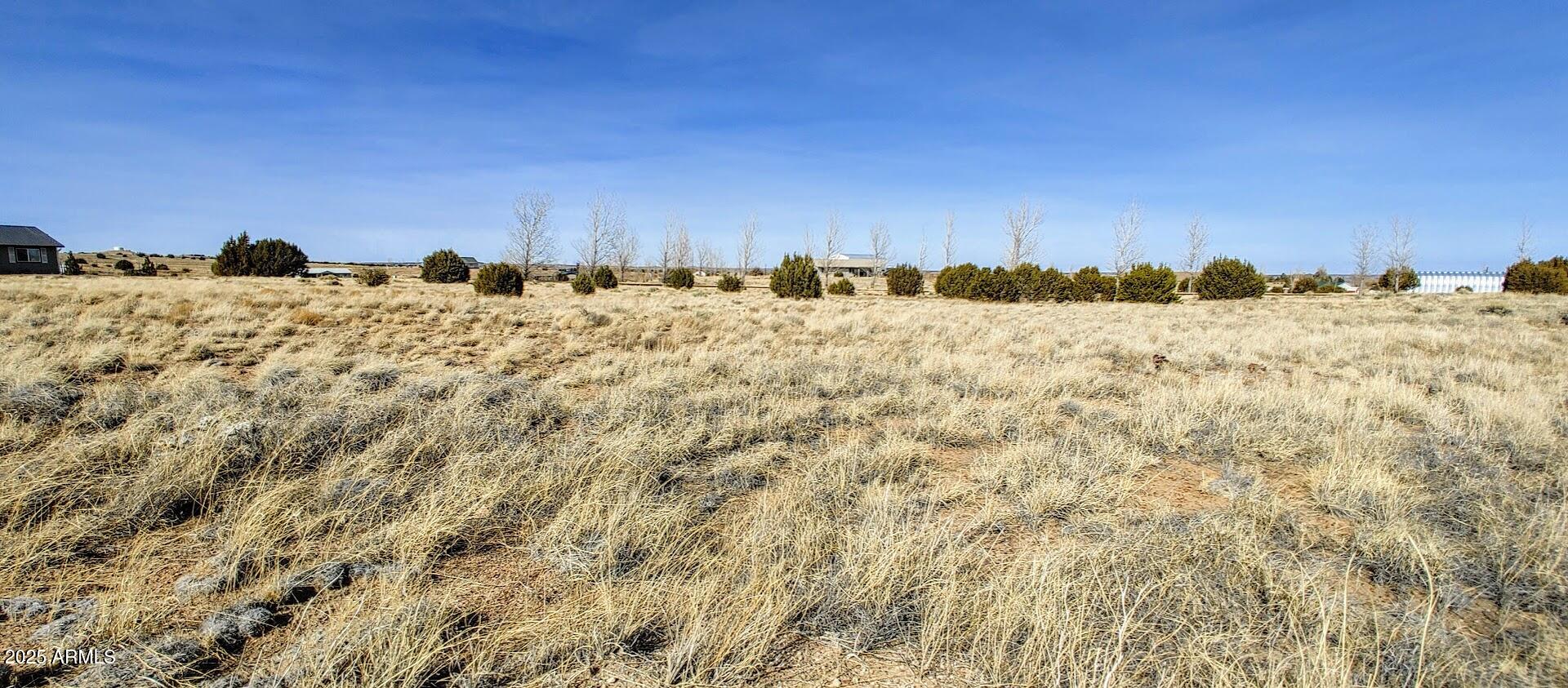 1351 S MEADOW Way, 81