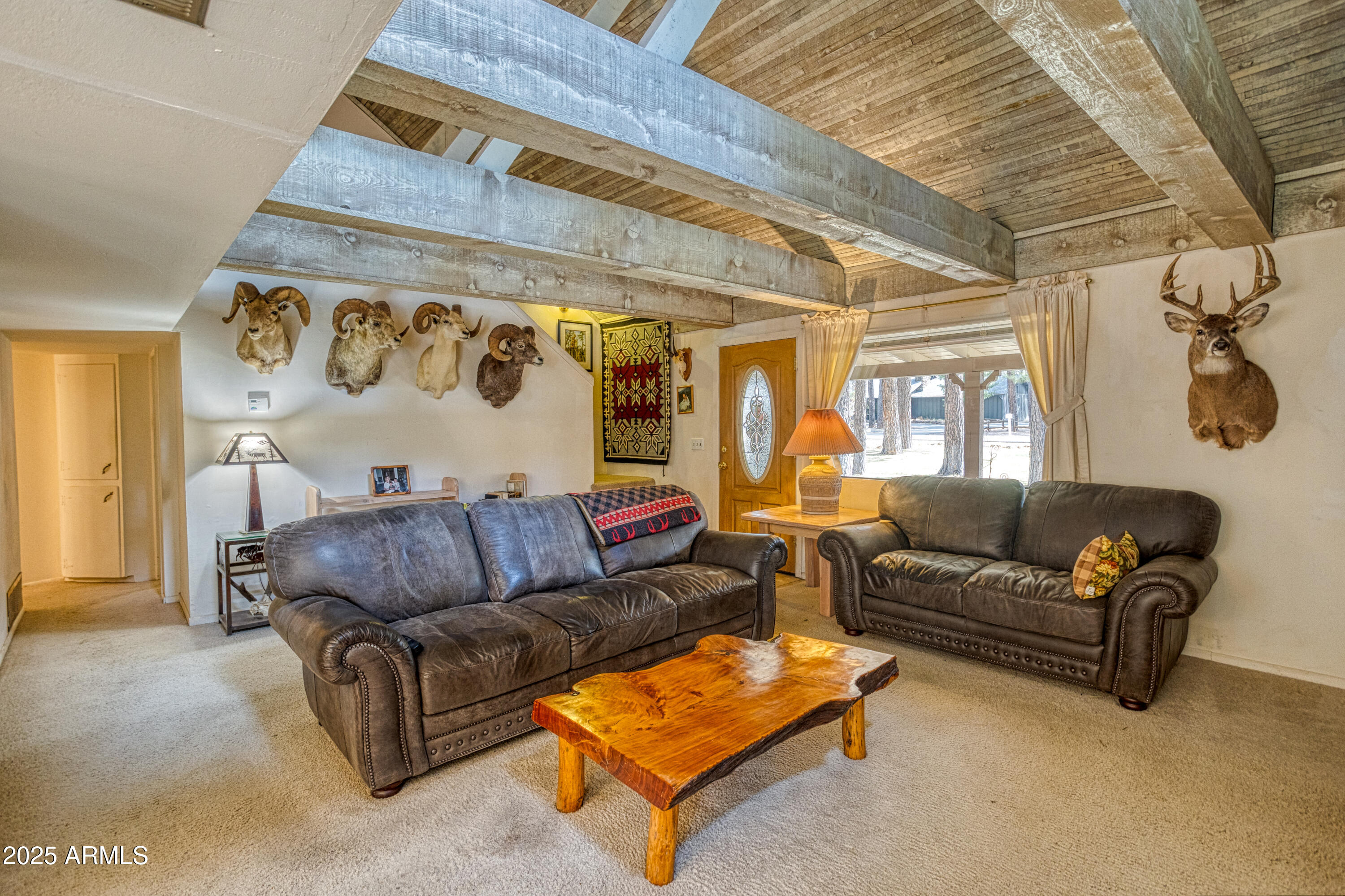 532 S CHIPMUNK Drive