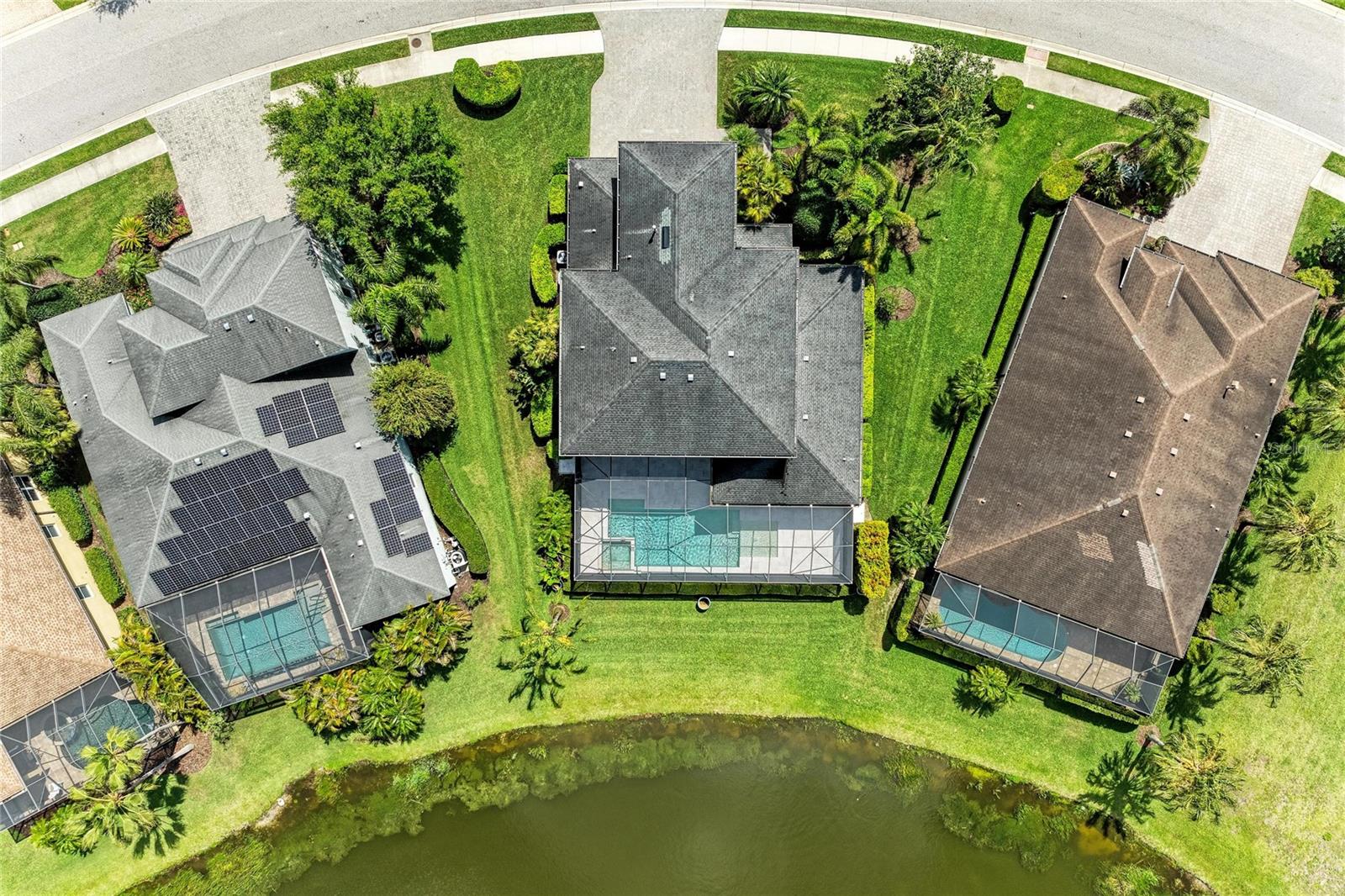 826 HONEYFLOWER LOOP