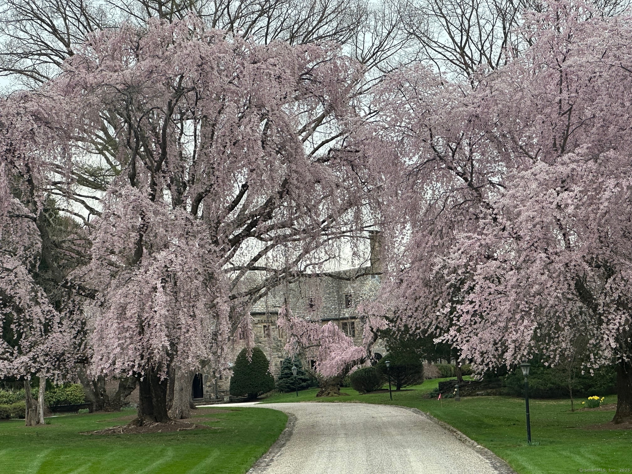 35 Dogwood Lane
