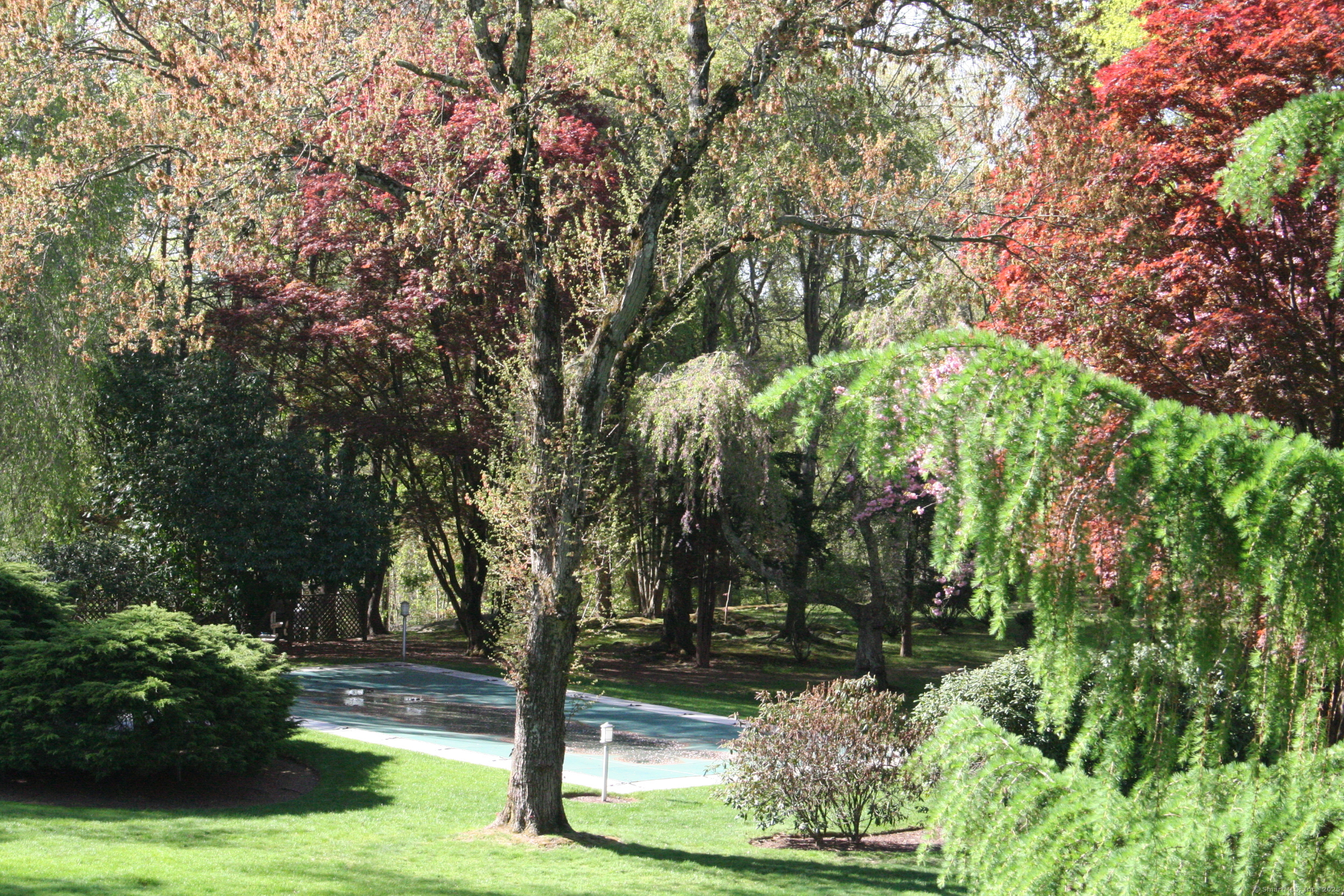 35 Dogwood Lane