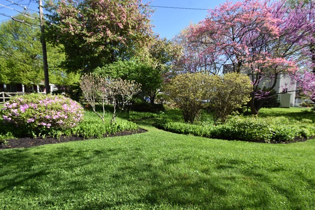 36 Evergreen Ave Unit: Entire Home