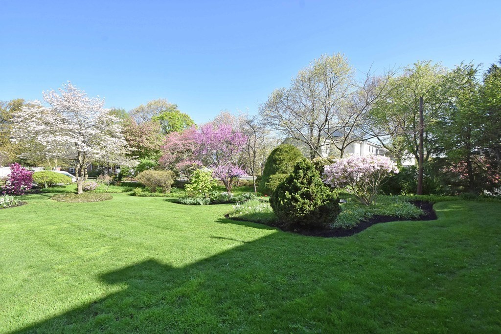 36 Evergreen Ave Unit: Entire Home