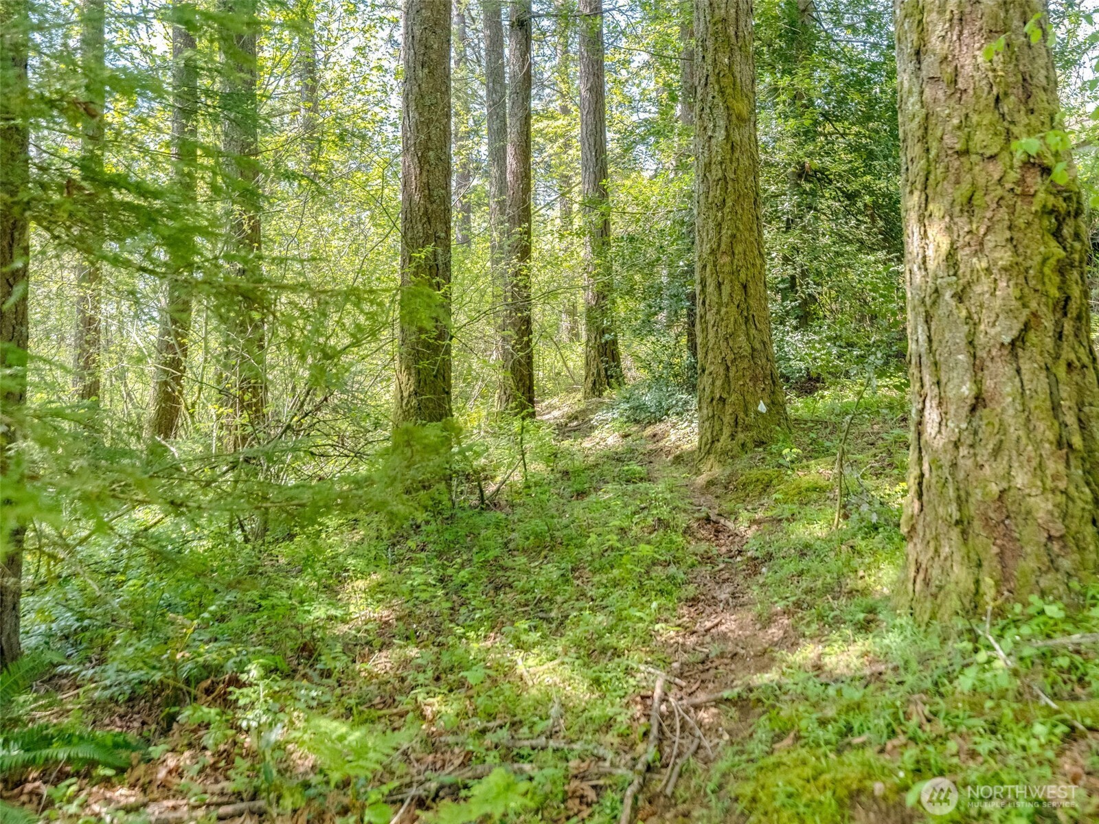 0 XXX SE 362nd Avenue