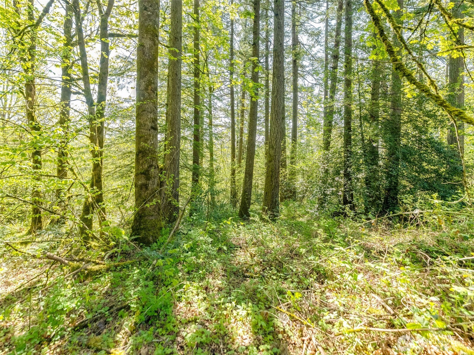 0 XXX SE 362nd Avenue