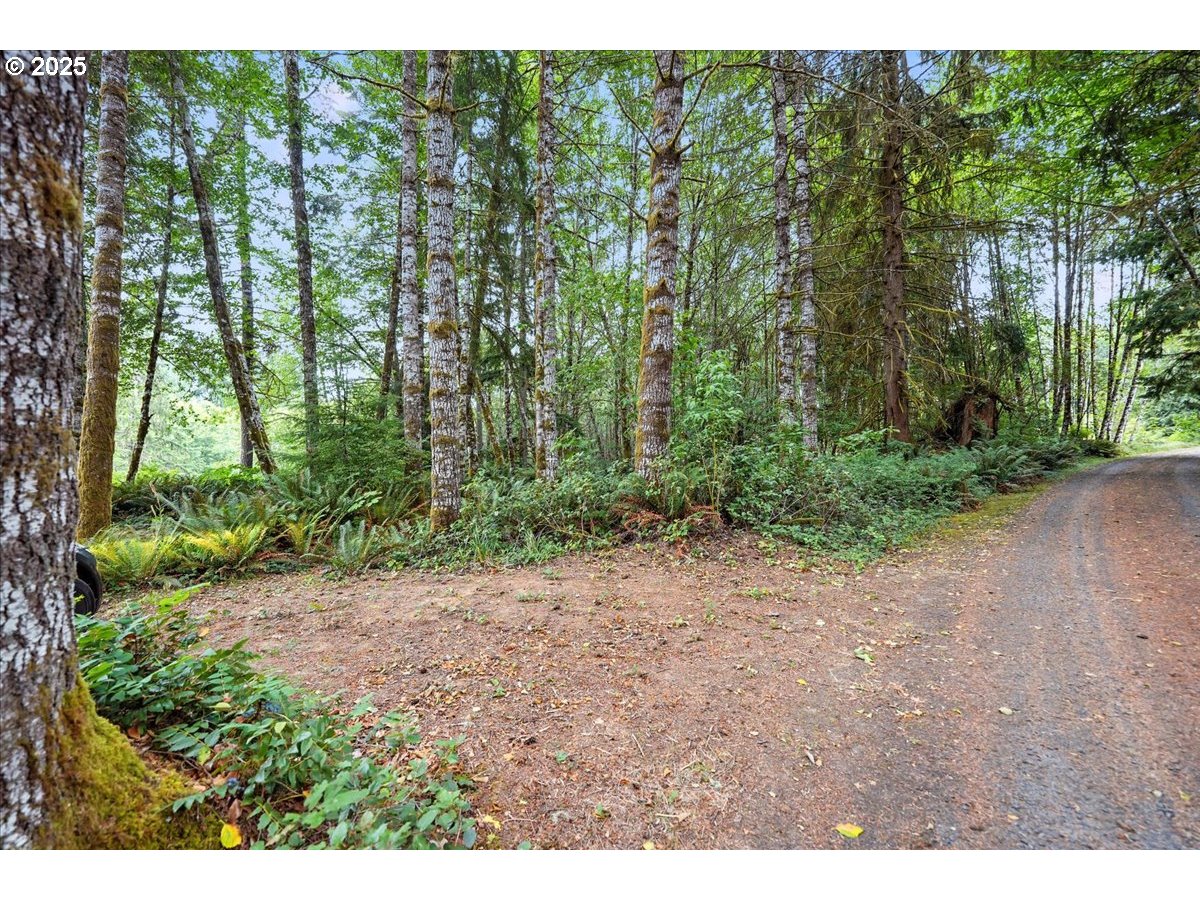 1550 SLIDE CREEK RD