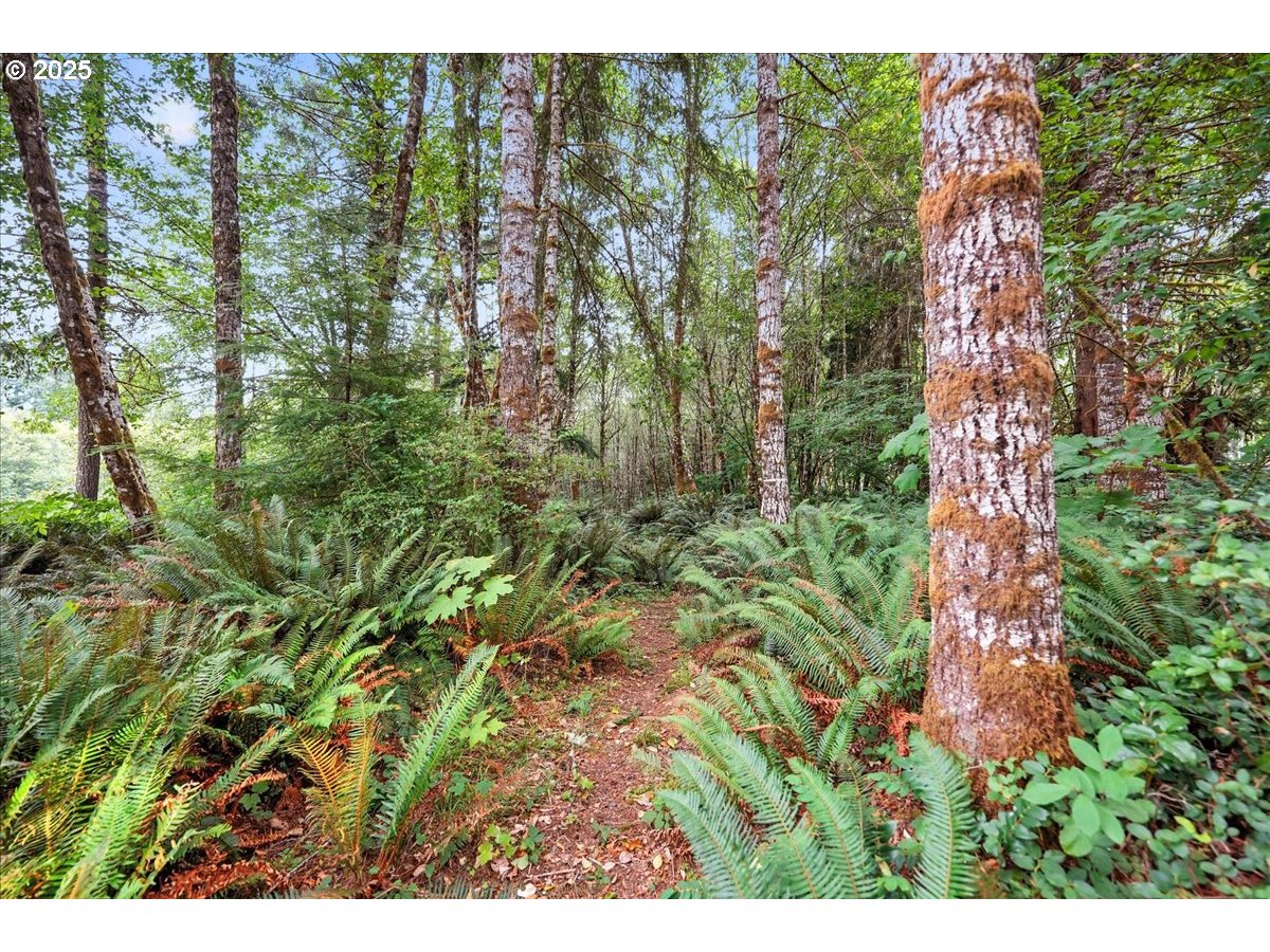 1550 SLIDE CREEK RD