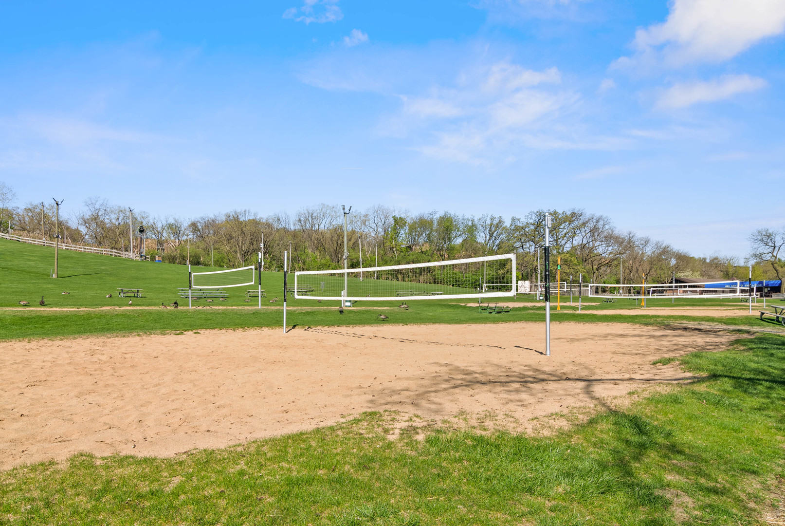 5950 Oakwood Drive Unit: 4B